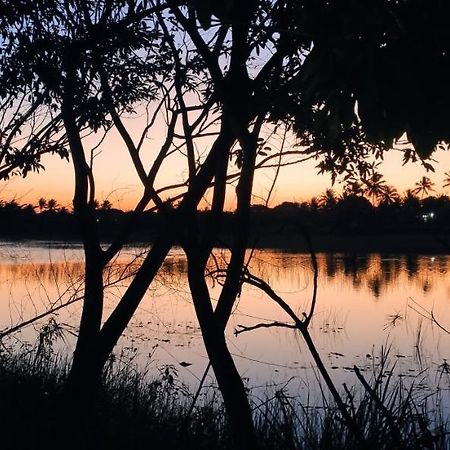 Pe Na Areia Itacimirim Villa Camaçari Exteriör bild